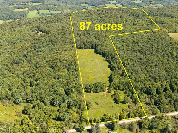 1 Warren Rd, Delhi, NY 13753