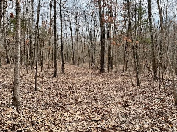 Paige Trl, Pocahontas, AR 72455