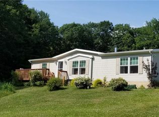 19 Smales Rd, Cochecton, NY 12726