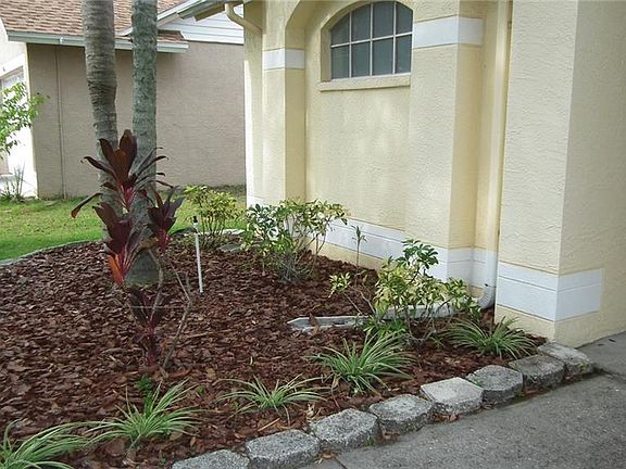 5th image of 10024 Oasis Palm Dr