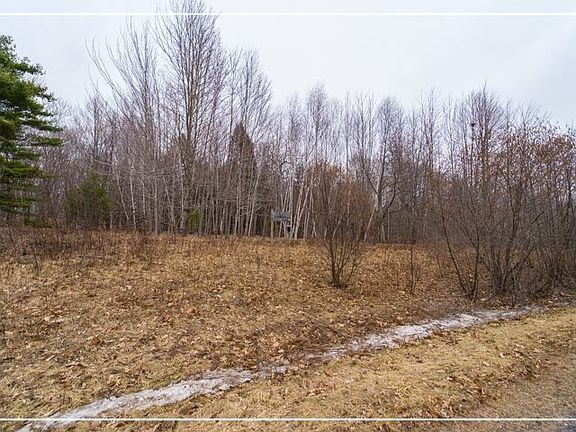 2nd image of 7705 Starflower Dr