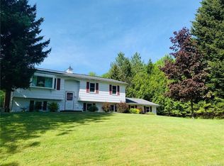 453 Little Ireland Rd, Livingston Manor, NY 12758