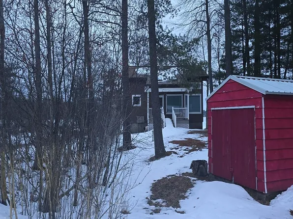 11011 West Dr, Fife Lake, MI 49633