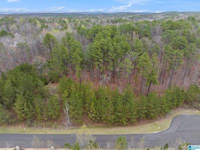 324 Oak Mountain Crest Way #6A, Pelham, AL, 35124