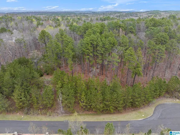 324 Oak Mountain Crest Way #6A, Pelham, AL 35124