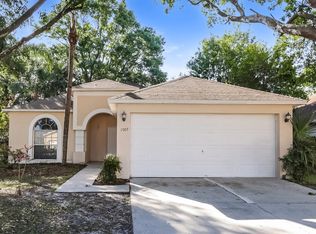 11507 Wellman Dr, Riverview, FL 33578