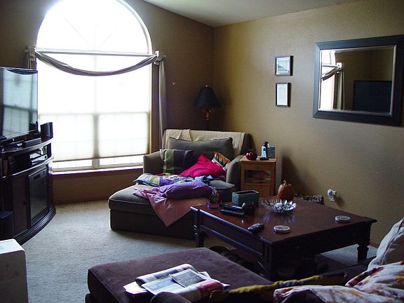 Bright Cozy Living Room