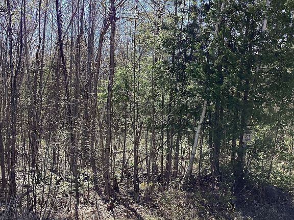 2nd image of 184 Champlain Rd