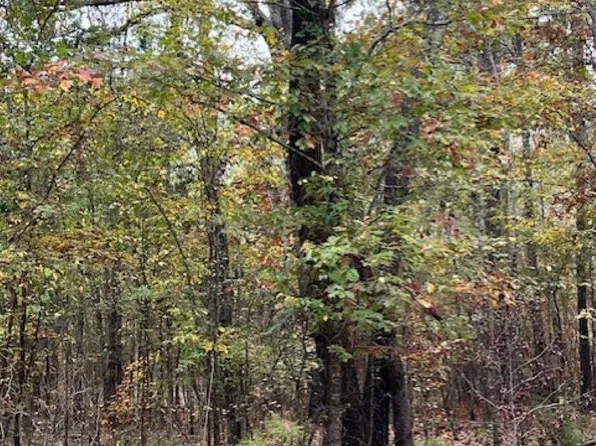 Burrows Rd, Arkadelphia, AR 71923