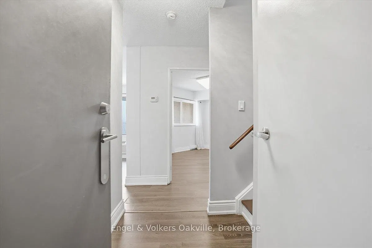 3 bed, $3,500 — Photo 2