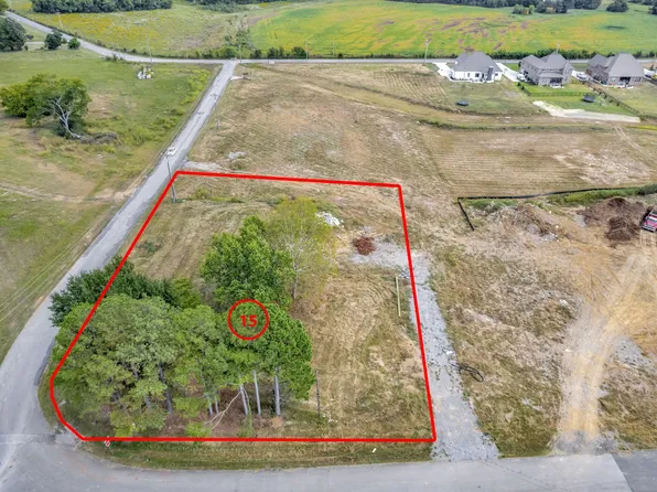 0 E Overall Creek Rd Lot 15, Rockvale, TN 37153