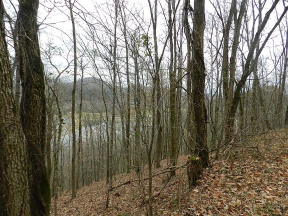 5th image of Dodson Branch Hwy