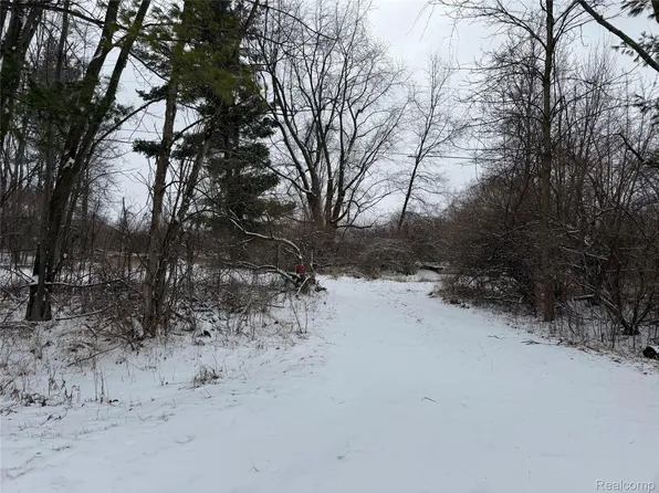 15193 Jeddo Rd, Brown City, MI 48416