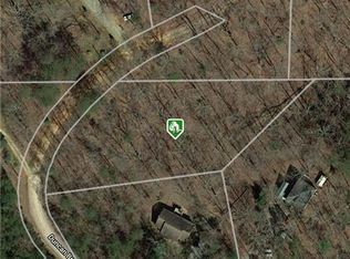 202 Duncan Bridge Ct, Cleveland, GA 30528