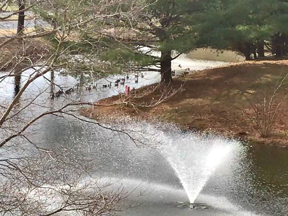 2nd image of 6918 Mary Caroline Cir #G