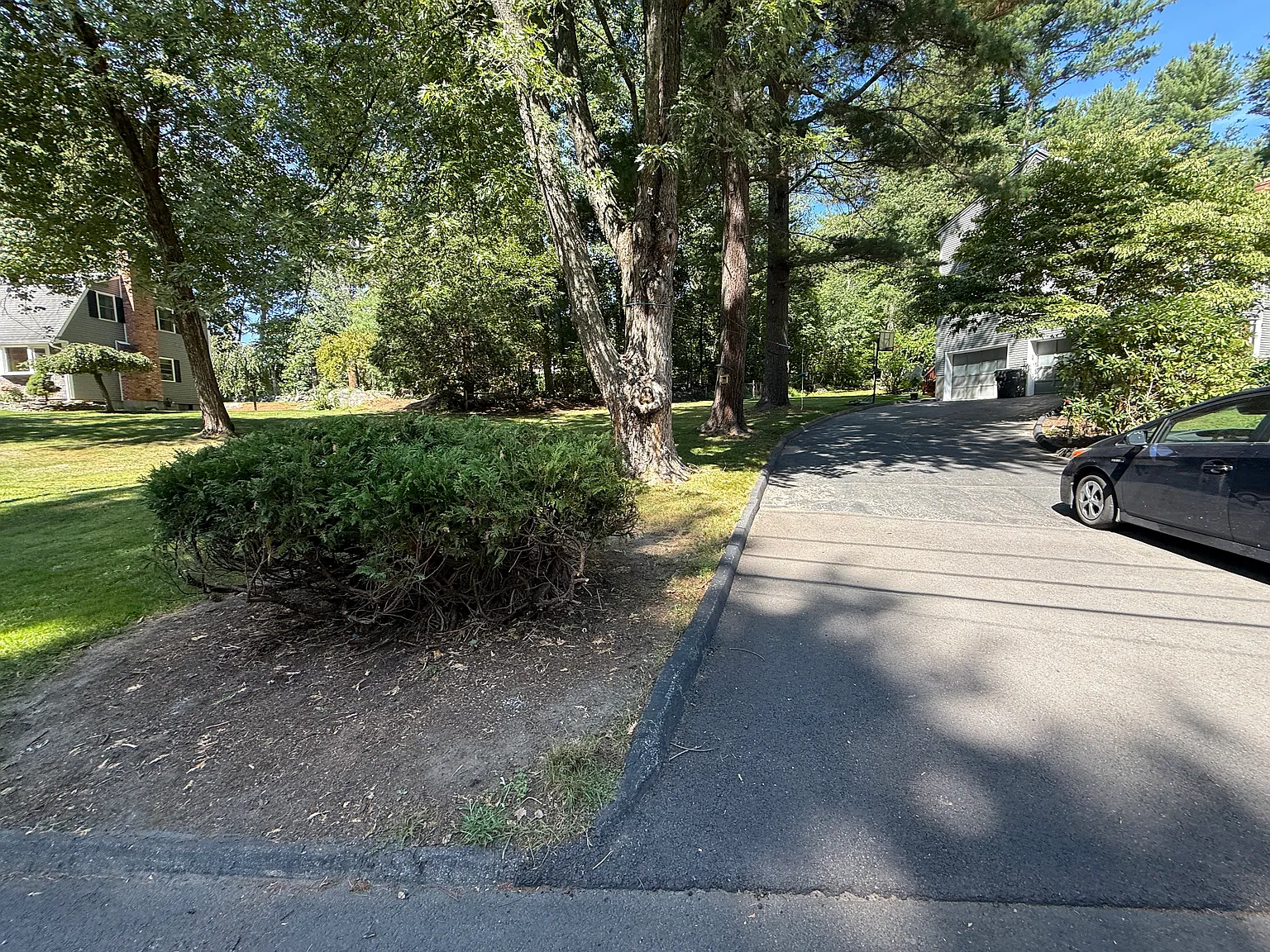 3 bed, 2000 sqft, $3,700 — Photo 2