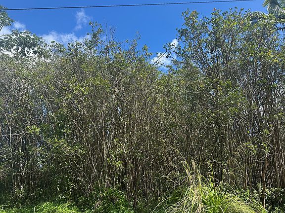 5th image of 39th Ave Lot 64