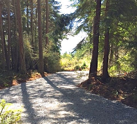 4th image of Nhn Cow Hill Road