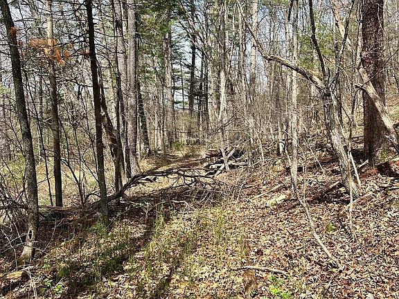 4th image of 1150 Purcell Rd