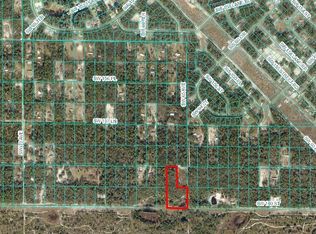 SW 158th Ln #463, Dunnellon, FL 34432