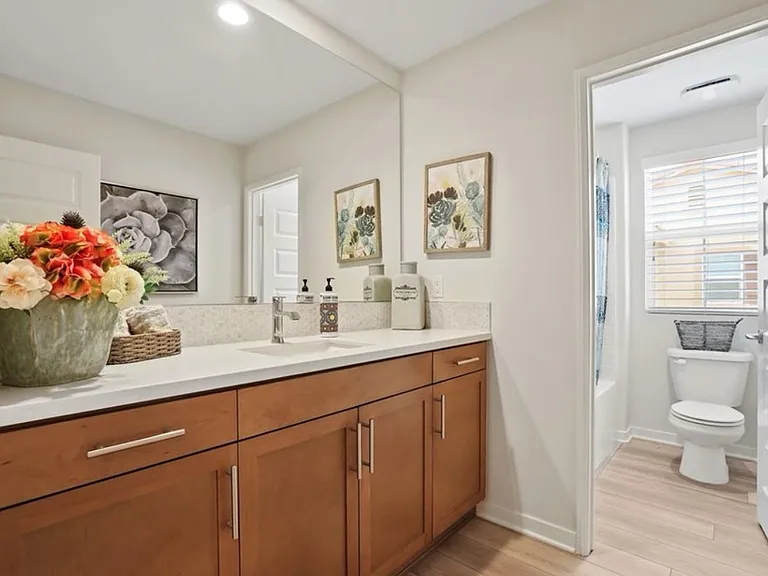 154 Seapine Ct — Photo 11
