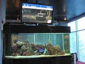 Fish Tank Room Divider & Flat Screen
