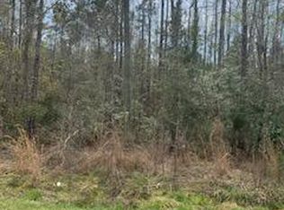 0 Johnsonville Rd, Moncks Corner, SC 29461