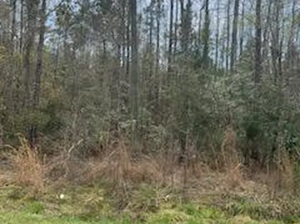 0 Johnsonville Rd, Moncks Corner, SC 29461