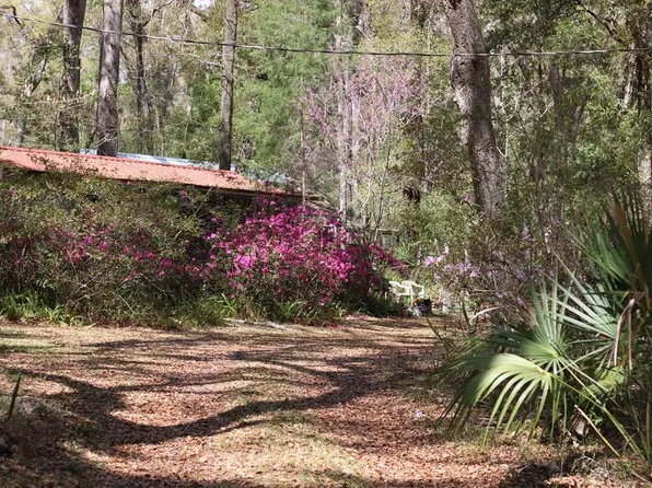 409 NE 212th Ave, Old Town, FL 32680