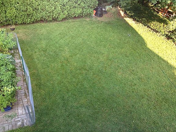 Leveled back yard 6" Loam