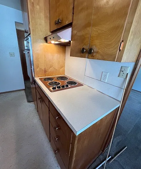 78 Williams Ave S #A — Photo 6