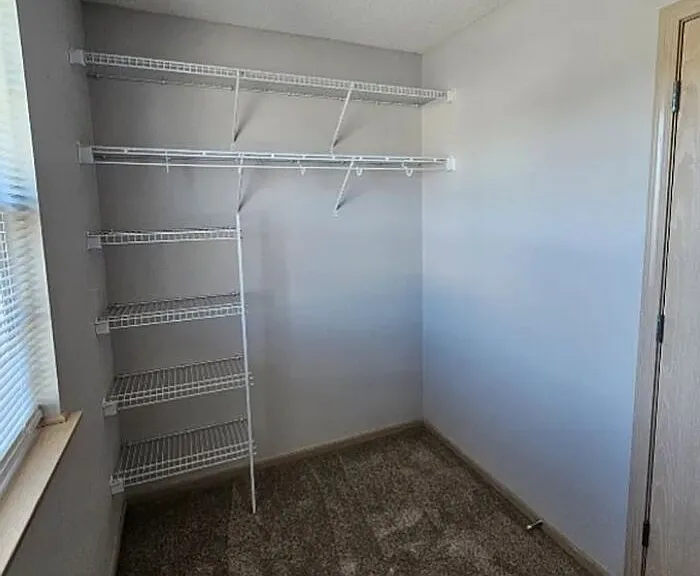 2160 Rambling Vine Rd — Photo 10