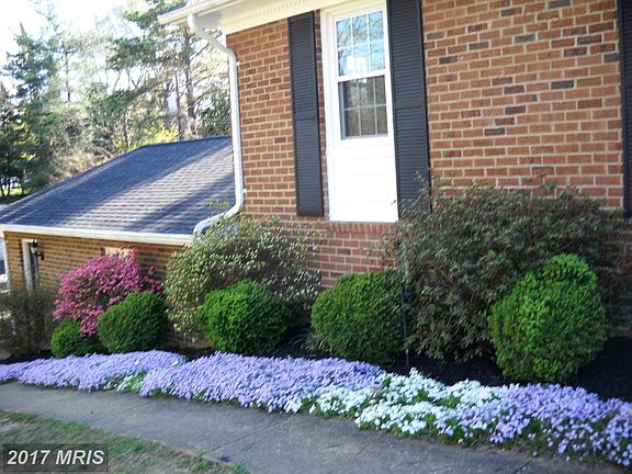2nd image of 205 Pecan Ln