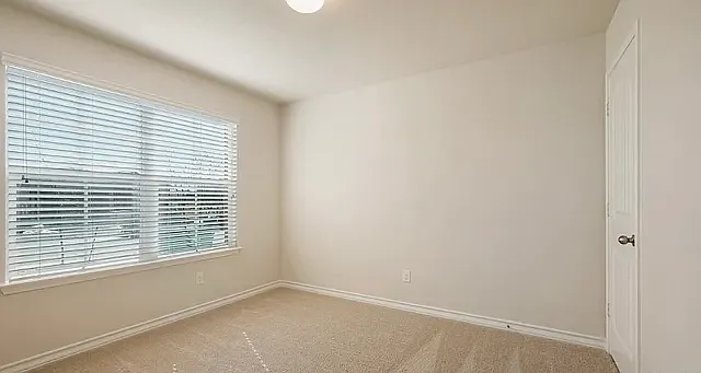 6514 Encore Oaks — Photo 11