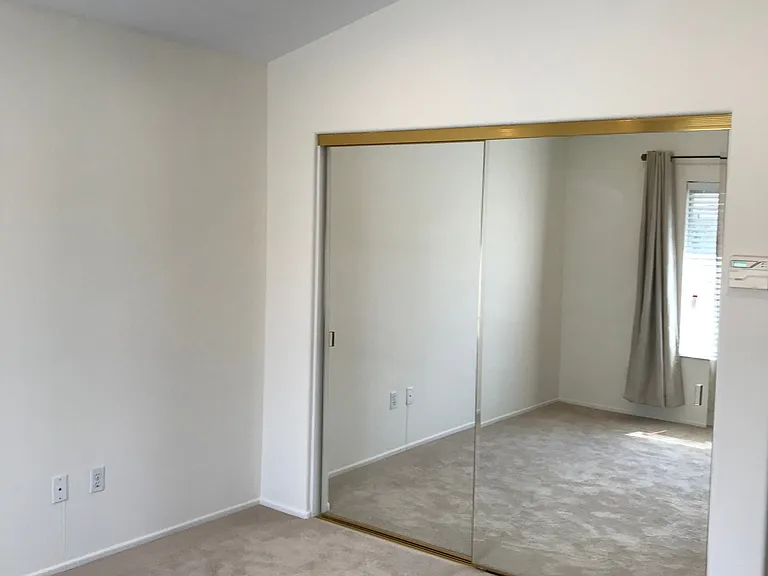 Master closet (walk in)