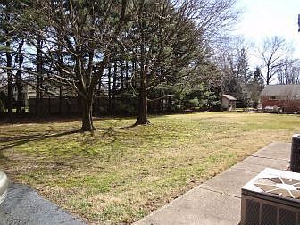 Large rear yard