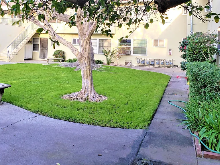 2 Bedrooms 1 Bath Unit In Great Location — Photo 9