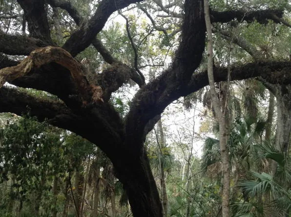 3865 Indian River Dr, Cocoa, FL 32926