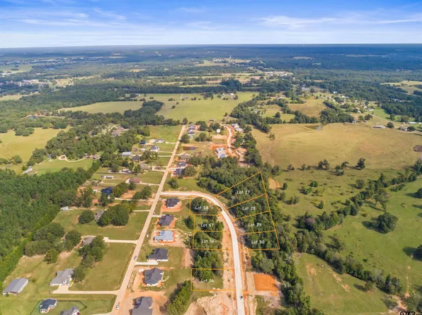 13932 Cedar Hill Cir, Tyler, TX 75703