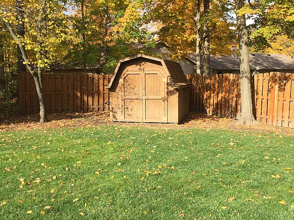 Backyard Shed