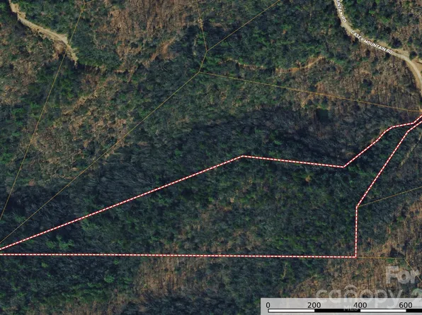Casey Mountain Rd #222, Purlear, NC 28665