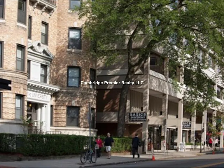 Massachusetts Ave — Photo 15