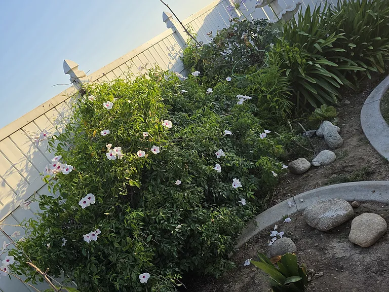 3154 Valaria Dr — Photo 70