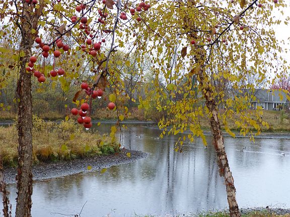 Fall Master Bdrm view