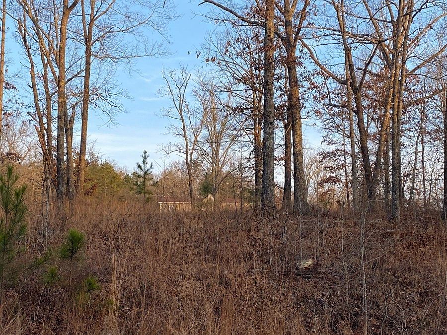 1st image of 515 Treetop Ln