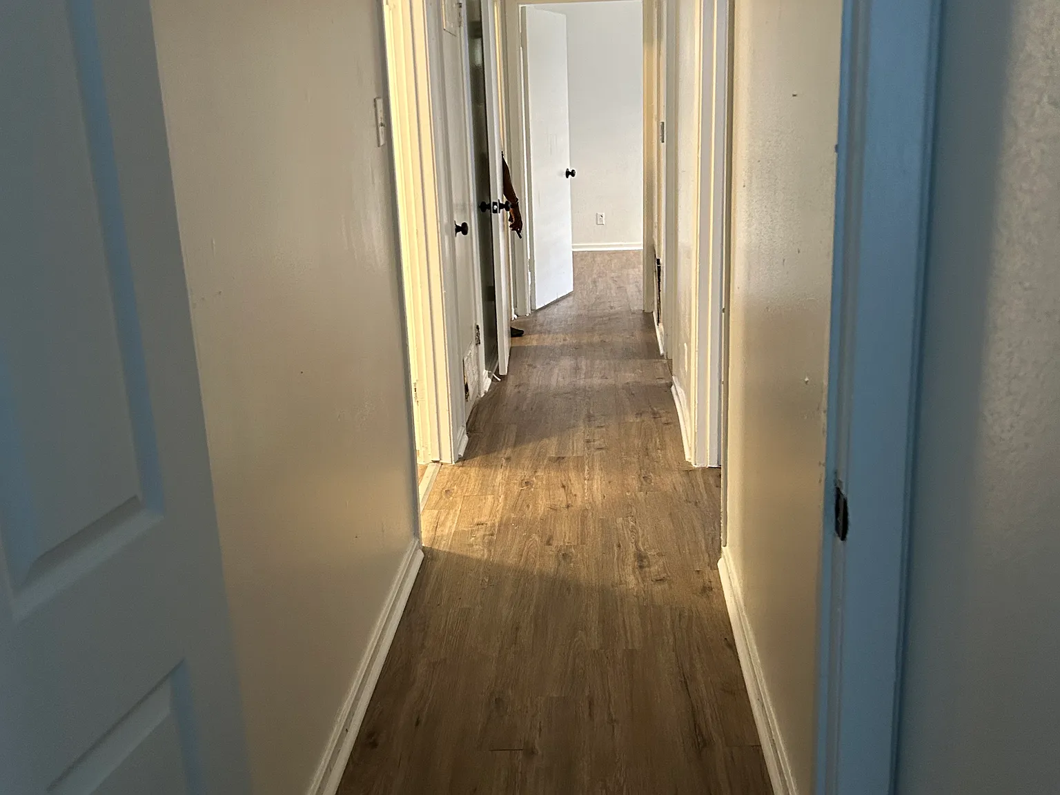 3 bed, 1610 sqft, $1,800 — Photo 3