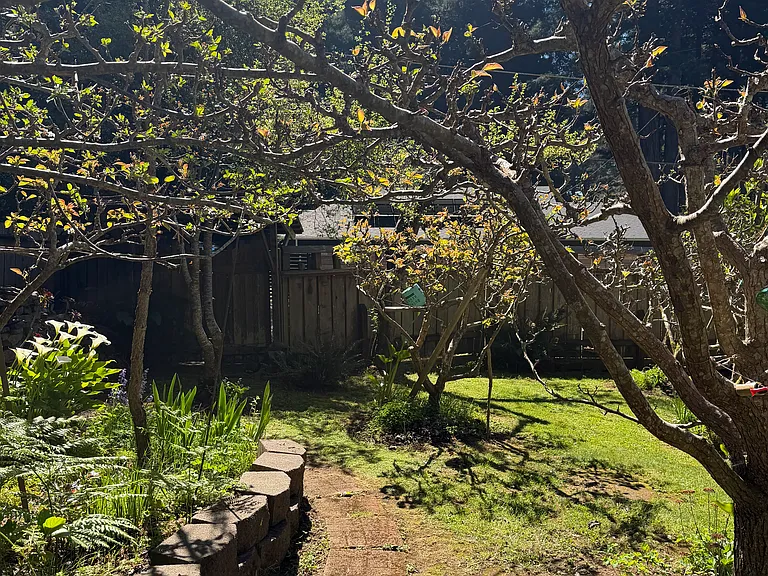 452 Spruce Ave — Photo 56