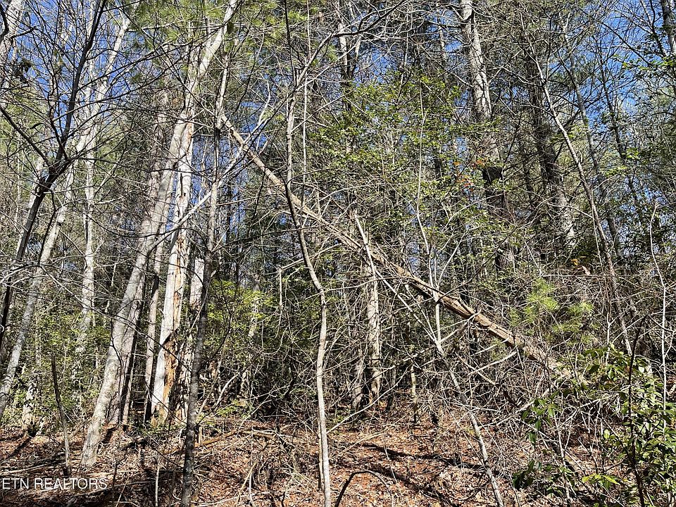 1st image of 24 Chipman Ct Lot 141