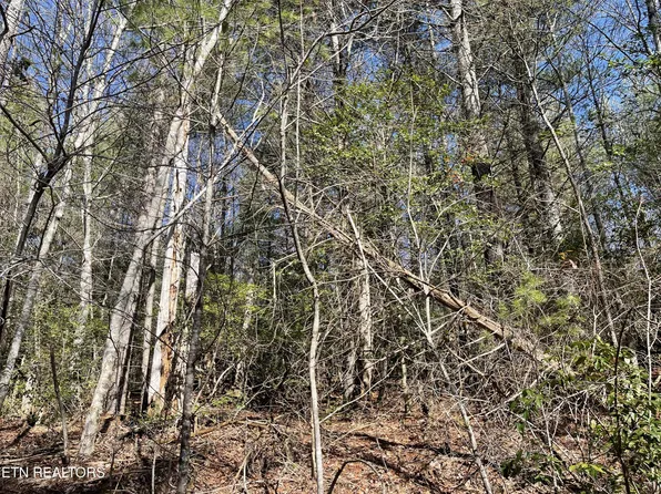 24 Chipman Ct Lot 141, Crossville, TN 38558