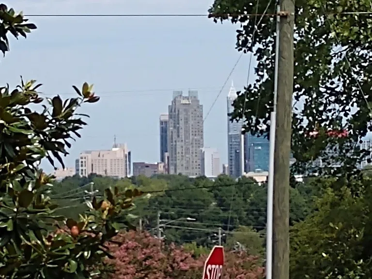 City of Raleigh Skyline from 2500 Newbold St